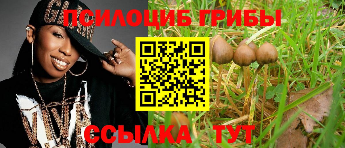 Псилоцибиновые грибы MAGIC MUSHROOMS  Вход с VPN  Борисоглебск 